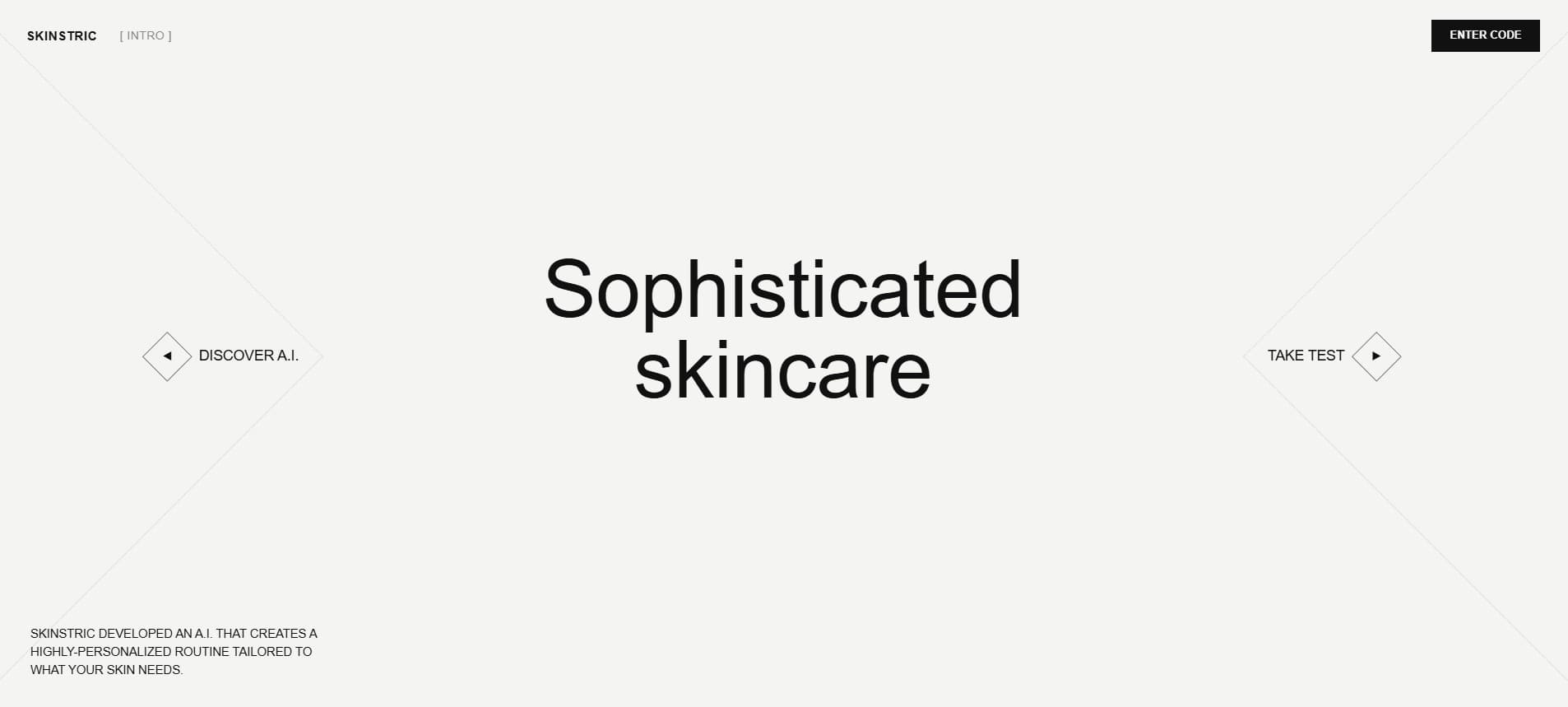 Skinstric AI Demographics Experience